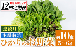 「ひかりの郷」施設内のハウスの中、水耕栽培で大切に育てられた種類豊富なお野菜達を、土付きのままご自宅へ運びます！土付きなので届いてからも鮮度が落ちにくく長く保存して頂けます。生でホウレン草を食べてみて