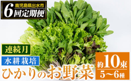 「ひかりの郷」施設内のハウスの中、水耕栽培で大切に育てられた種類豊富なお野菜達を、土付きのままご自宅へ運びます！土付きなので届いてからも鮮度が落ちにくく長く保存して頂けます。生でホウレン草を食べてみて
