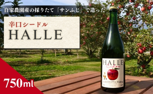 【信州産りんご】辛口シードル「HALLE」（750ml×1本） お酒 アルコール リンゴ サンふじ  102808 - 長野県駒ヶ根市