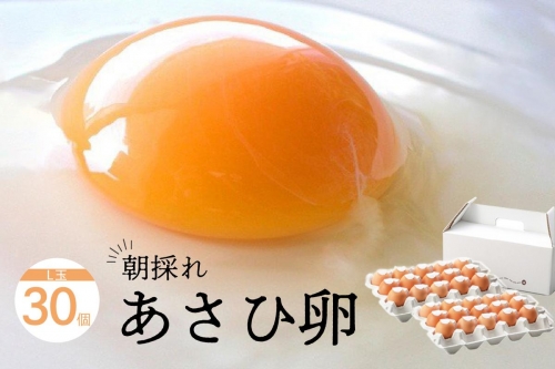 卵かけごはん専用 あさひ卵 L玉サイズ×30個（25個+破損保証5個） 1028364 - 熊本県八代市