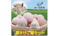 純系名古屋コーチン卵40個入り　卵かけご飯セット【1427144】