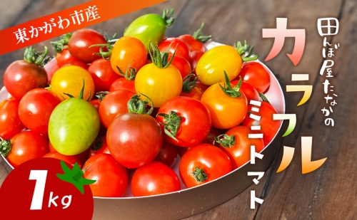 田んぼ屋たなかの【カラフルミニトマト1kg】