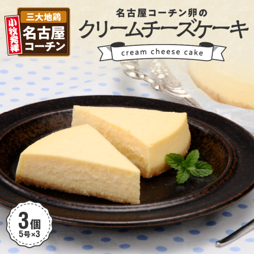 <訳あり>名古屋コーチン卵のクリームチーズケーキ[020N05] 102869 - 愛知県小牧市