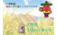 KA60【定期便6ヵ月】コメアミーゴこだわりのいすみ米コシヒカリ１０kg