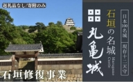 [№5341-0586]【復興支援/寄附のみ】丸亀城石垣修復プロジェクト/100万円