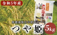 《先行予約》【令和5年産 新米】 つや姫 5kg 無農薬無化学肥料栽培 ブランド米 農家直送 2023年産 [004R5-001]