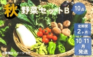 【予約受付/2024年10・11月発送】秋 野菜 セット B ( 10品 )  【 2ヶ月 定期便 】