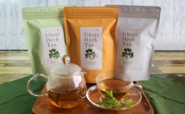 【ふるさと納税】Ukogi Herb Tea 3種 セット 計 30個 ( 各 10個 ) 〔 ノンカフェイン 〕 ティーバッグ 有機栽培 うこぎ ハーブティー ハ