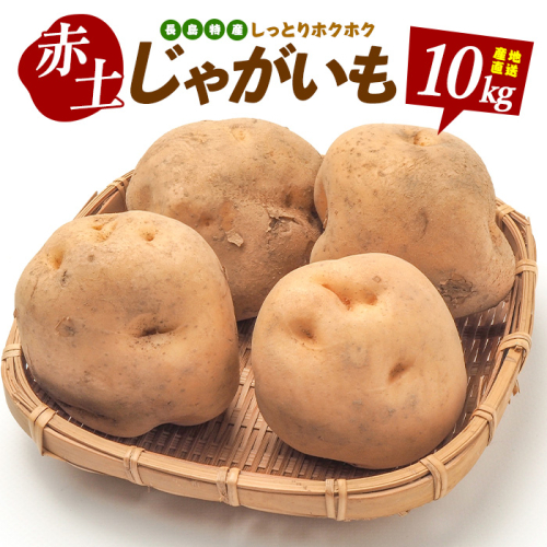 【期間限定】長島地区特産 赤土バレイショ (計10kg)じゃがいも 【鹿児島いずみ農業協同組合】ja-7107 102956 - 鹿児島県長島町