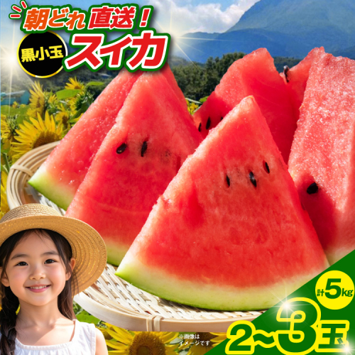 【令和8年度出荷分】BE275 黒小玉スイカ「ひとりじめBonBon」 5kg(1.7kg以上×2～3玉) ～名水百選の里 島原産～ [ Bunkou Farms 島原 合同会社 島原市 BE275 ] 102958 - 長崎県島原市