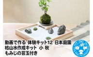 動画で作る 体験キット12 日本庭園 枯山水作成キット 小 秋 もみじの苔玉付き