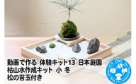 動画で作る 体験キット13 日本庭園 枯山水作成キット 小 冬 松の苔玉付き