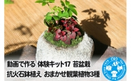 動画で作る 体験キット17 苔盆栽 抗火石鉢植え おまかせ観葉植物3種