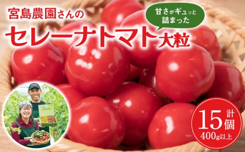 セレーナトマト 大粒 15個 400g以上 八代市産 宮島農園 1030059 - 熊本県八代市