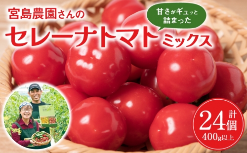 セレーナトマト サイズミックス 24個 400g以上 八代市産 宮島農園 1030061 - 熊本県八代市