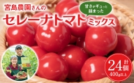 セレーナトマト サイズミックス 24個 400g以上 八代市産 宮島農園