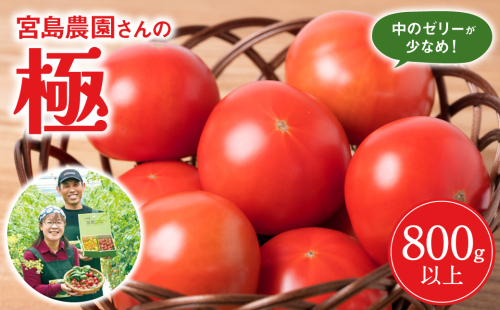 【先行予約】最高峰 トマト 極 800g 八代市産 宮島農園 甘い 野菜 やさい 【2026年1月上旬より順次発送】 1030063 - 熊本県八代市