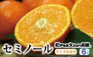 セミノールオレンジ 約6kg/サイズおまかせ　※2024年4月中旬～5月下旬頃に順次発送予定(お届け日指定不可)　紀伊国屋文左衛門本舗 / セミノールオレンジ 蜜柑 みかん 柑橘 果物 フルーツ
