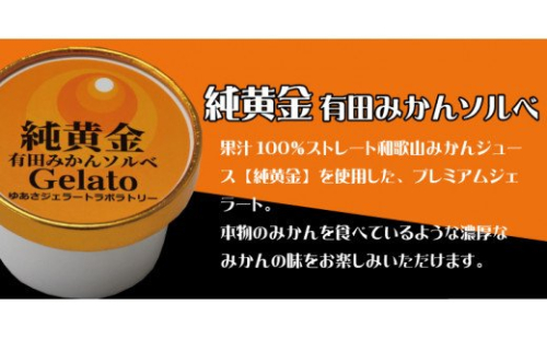 プレミアムジェラート 純黄金12個セット 有田みかんソルベ 100mlカップ【kmtb700-08】 1030403 - 和歌山県紀美野町
