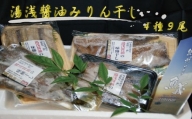 和歌山の近海でとれた新鮮魚の湯浅醤油みりん干し4品種9尾入りの詰め合わせ / 干物 ひもの あじ さんま さば アジ 秋刀魚 サバ 鯖