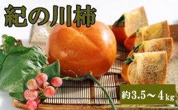 樹上で果実が実ったままの状態で、ひとつずつビニール袋をかけ、渋抜き処理と熟成を行なった種無し柿です。切ると、黒砂糖を全体にまぶしたような茶色の模様をしています。タンニンが固形化したものです。より甘味が