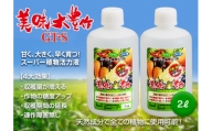 植物活力液 美味大豊作 GT-S 2L(1L×2個) 肥料 園芸 野菜 花 作物 F21A-422