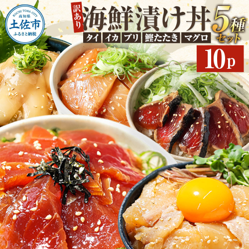 訳あり 海鮮漬け丼（5種×各2P）計10P セット 漬け丼 漬け魚 海鮮丼 マグロ 鯛 イカ ブリ 鰹のたたき 海鮮 漬け づけ丼 食べくらべ 漬け丼の素 海鮮丼の具 海鮮セット まぐろ いか ぶり 鯛 かつおのたたき 鰹タタキ 訳アリ 不揃い 規格外 わけあり 食べ比べ 魚介類 水産加工品 冷凍 食品 保存食 鯛茶漬け 小分け 一人暮らし 簡単 高知 惣菜 12000円 1031015 - 高知県土佐市