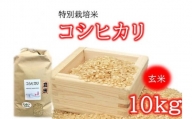 【1-374】コシヒカリ（特別栽培米）玄米 10㎏
