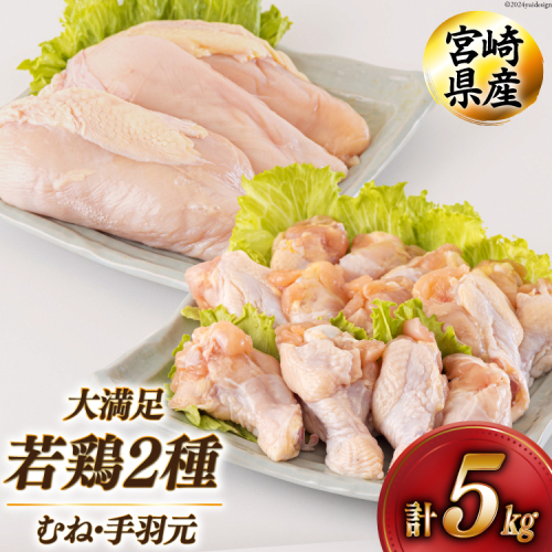 若鶏 むね 手羽元 合計5kg 1kg包装 [アグリ産業匠泰 宮崎県 美郷町 31be0044] 小分け 鶏肉 冷凍 送料無料 炒め物 煮込み 調理 料理 大容量 真空 胸 あっさり ヘルシー 唐揚げ からあげ チキン南蛮 照り焼き 甘辛煮 とり天 ヤンニョム チキン 普段使い 便利 セット 詰め合わせ 2種 1031427 - 宮崎県美郷町