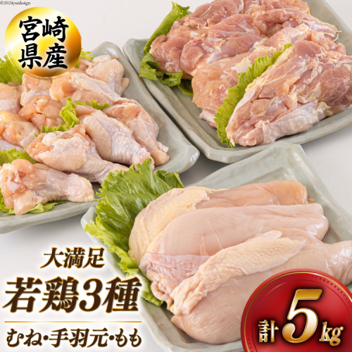 若鶏 むね 手羽元 もも 合計5kg 1kg包装 [アグリ産業匠泰 宮崎県 美郷町 31be0045] 小分け 鶏肉 冷凍 送料無料 炒め物 煮込み 調理 料理 大容量 真空 胸 ジューシー ヘルシー 唐揚げ からあげ チキン南蛮 照り焼き 甘辛煮 とり天 ヤンニョム チキン 普段使い 便利 セット 詰め合わせ 3種 1031474 - 宮崎県美郷町