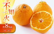 【先行予約】 不知火 約8kg 18-28玉 【2024年2月上旬より順次発送】