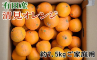 【産直】有田産清見オレンジ 約7.5kg（訳あり家庭用サイズおまかせまたは混合） ※2025年2月上旬～2025年3月下旬頃発送（日付指定不可） /果物 くだもの フルーツ 蜜柑 みかん