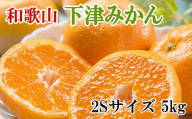 【産直・秀品】和歌山下津みかん 5kg(2Sサイズ) ※2024年11月中旬～2025年1月中旬頃順次発送 / 果物 くだもの フルーツ 蜜柑 みかん