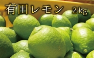 【国産】紀州和歌山　有田レモン 約2kg / 檸檬 柑橘 オレンジ フルーツ 果物 くだもの 旬