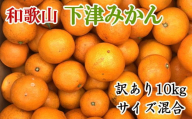 【産直】和歌山下津みかん　10kg（訳ありサイズ混合） ※2024年11月中旬～2025年1月中旬頃順次発送 / 果物 くだもの フルーツ 蜜柑 みかん