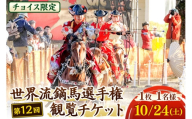 ふるさとチョイス限定【10／24（土）・十和田市中央公園】「第12回世界流鏑馬選手権」観覧チケット1枚1名様 レターパックプラス [数量限定 ふるさと納税限定]