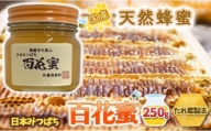 [№5311-0837]【 国産 天然蜂蜜 】 はちみつ 日本みつばち 百花蜜 250g たれ蜜製法 純粋ハチミツ