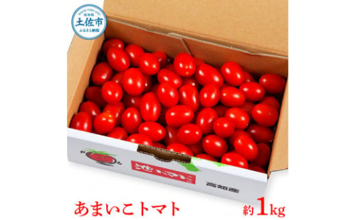＜2026年1月下旬より発送＞あまいこトマト 約1kg  1033112 - 高知県土佐市