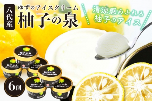 八代産 ゆずのアイスクリーム「柚子の泉」6個 アイス 1033526 - 熊本県八代市