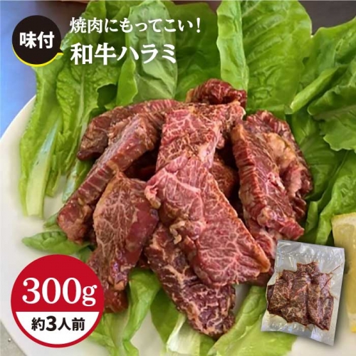 【食べやすい味付け】ホルモン専門店の和牛ハラミ300g （約3人前）【三田川ホルモン専門店】吉野ヶ里町 [FAC003] 103354 - 佐賀県吉野ヶ里町