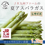 【A8-013】JR九州ファームの夏アスパラガス　Lサイズ1.2kg