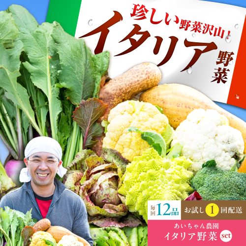 【12品】農薬に頼らない！カラダにやさしい「イタリア野菜」セット（ラージ）吉野ヶ里町/吉野ヶ里あいちゃん農園[FAA021] 103381 - 佐賀県吉野ヶ里町