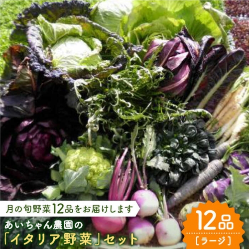 【12品】あいちゃん農園の「イタリア野菜」セット（ラージ） [FAA021] 103381 - 佐賀県吉野ヶ里町