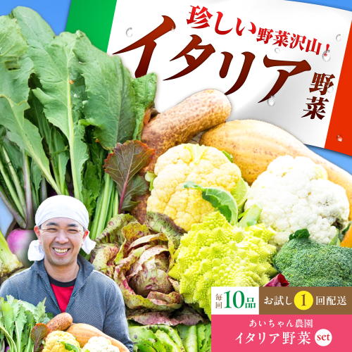 【10品】農薬に頼らない！カラダにやさしい「イタリア野菜」セット（レギュラー）【吉野ヶ里あいちゃん農園】[FAA017] 103385 - 佐賀県吉野ヶ里町