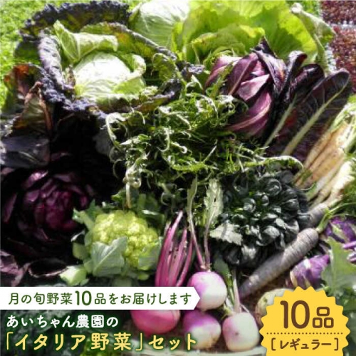 【10品】あいちゃん農園の「イタリア野菜」セット（レギュラー） [FAA017] 103385 - 佐賀県吉野ヶ里町