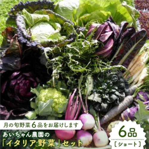 【6品】あいちゃん農園の「イタリア野菜」セット（ショート） [FAA013] 103389 - 佐賀県吉野ヶ里町