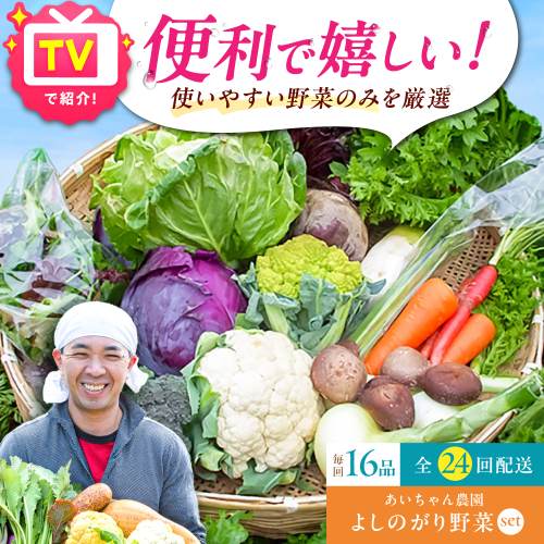 【16品 / 24回定期便】農薬に頼らない！カラダにやさしい「よしのがり野菜」セット（ラージ）【吉野ヶ里あいちゃん農園】 [FAA011] 103391 - 佐賀県吉野ヶ里町