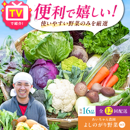 【16品 / 12回定期便】農薬に頼らない！カラダにやさしい「よしのがり野菜」セット（ラージ）【吉野ヶ里あいちゃん農園】 [FAA010] 103392 - 佐賀県吉野ヶ里町