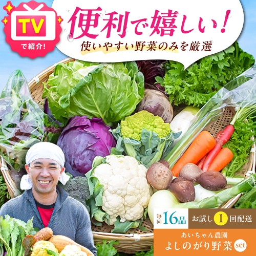 【16品】農薬に頼らない！カラダにやさしい「よしのがり野菜」セット（ラージ）吉野ヶ里町/吉野ヶ里あいちゃん農園 [FAA009] 103393 - 佐賀県吉野ヶ里町