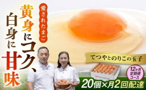《月2回 × 20個 × 12ヶ月コース》【15日・30日ごろ出荷】てつやとのりこの玉子  全24回定期便 糸島市 / 板垣ファーム 卵 たまご 玉子 鶏卵 卵かけご飯 便利 定期便 定期購入 [AWD014-2]
